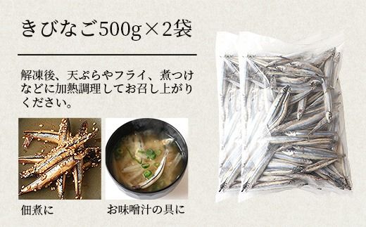 枕崎産 きびなご＜合計2kg＞冷凍 一夜干し 唐揚げ用 詰め合わせ A3-110 【1166367】_ キビナゴ 海鮮 魚介 鹿児島県 枕崎 産直 産地直送 国産 贈答 ギフト