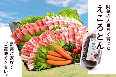 えころとん・豚肉5種(計1025g) バーベキュー・焼肉のたれセット《60日以内に出荷予定(土日祝除く)》熊本県産 有限会社ファームヨシダ---so_ffarmy5btr_60d_r7_15000_1025g---