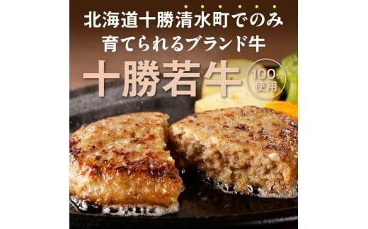 十勝若牛100％使用！十勝若牛ハンバーグ 100g×12個_S003-0027