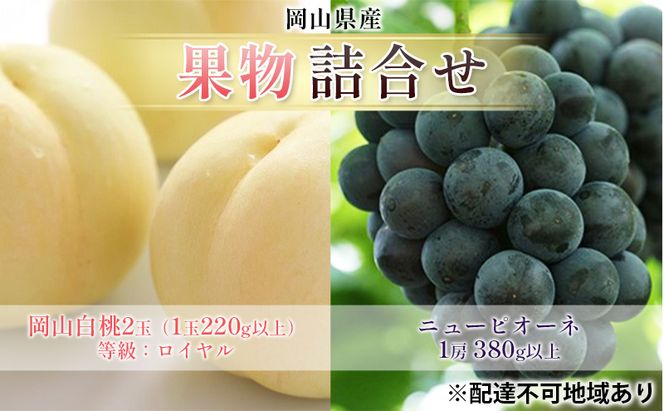 ぶどう 2026年 先行予約 果物 詰合せ 岡山 白桃 2玉 等級：ロイヤル（1玉220g以上） ニュー ピオーネ 1房 380g以上 もも 葡萄 岡山県産 国産 フルーツ 果物 ギフト