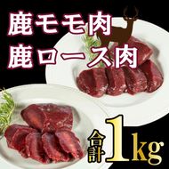愛南ジビエ 鹿 モモ肉 500g ロース肉 500g セット