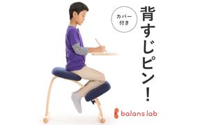 椅子 バランスイージー カバー付き 選べる フレーム カラー 姿勢矯正 インテリア 家具