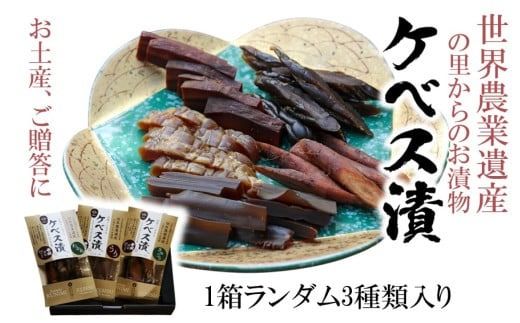 y啪szy10甭\z̊ւ̎𔔂ō̓ޗǒЂuG߂̃PxXЂv1_3Zbgiv510gj_2106R