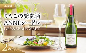 小諸産 りんごの発泡酒 ANNEシードル（DRY＆SEMISWEET）２本セット
