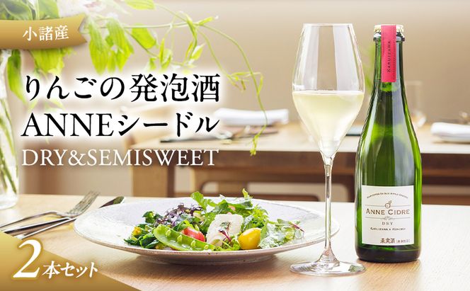 小諸産 りんごの発泡酒 ANNEシードル（DRY＆SEMISWEET）２本セット