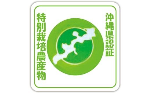 【2026年発送】産地認定！！恩納村産パッションフルーツ(約2kg)