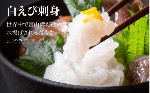 富山湾どんぶりセット 約３人前