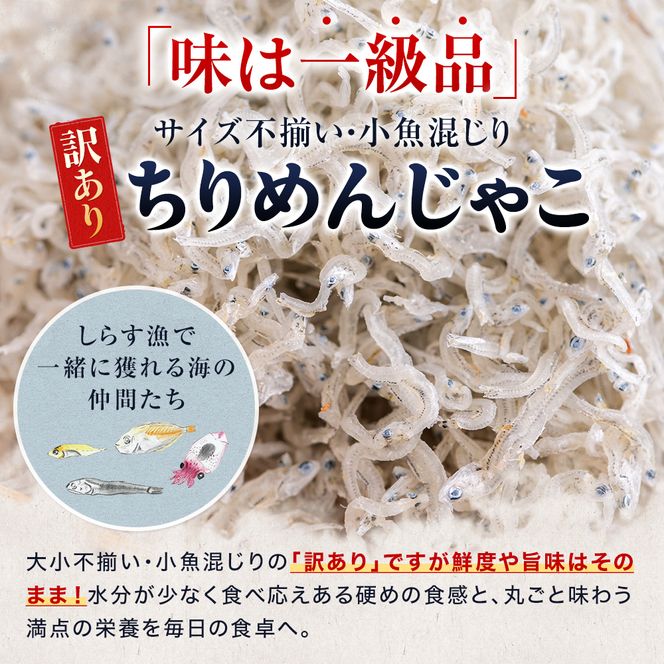 訳あり ちりめんじゃこ 300g～1.5kg 小分け 冷凍 ちりめん じゃこ 海鮮 海産物 ふりかけ 佃煮 ちりめん つくだに 魚 海鮮 ごはん 米 しらす おやつ さかな ご飯のお供 海の幸 ちりめん 魚介類 じゃこ チャーハン 乾物 ちりめんふりかけ ちりめんサラダ ちりめん おつまみ ちりめん 丼  おすすめ 人気 愛知県 南知多町