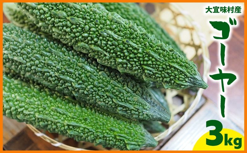 大宜味村産 ゴーヤー3kg以上 沖縄 大宜味村 ゴーヤー ごーや 栄養価 ご当地 人気 ふるさと納税 送料無料 常温 食べ物 野菜 やさい 食物繊維 沖縄料理 おかず アレンジ料理 食品 3キロ サラダ