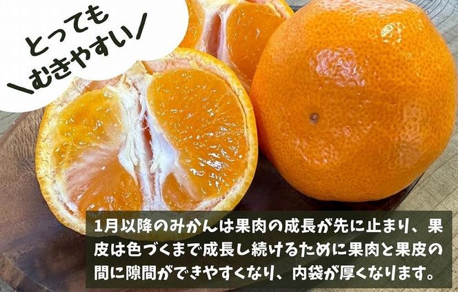 訳あり それでも 有田みかん 箱込 2.5kg (内容量約 2.3kg) サイズミックス B品 有田みかん 和歌山県産 産地直送 家庭用［2025年11月中旬より順次出荷予定］［みかんの会］ AX211