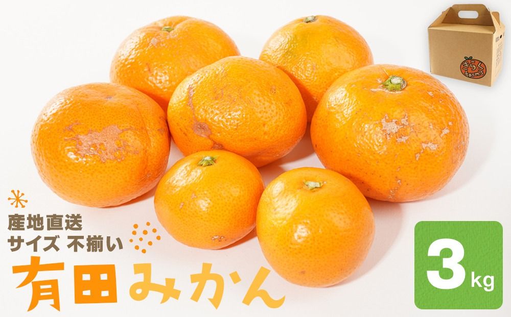 産地直送 有田みかん サイズ 不揃い 約3kg 喜楽farms [2026年11月以降順次発送]AL18