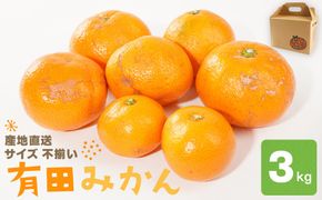 産地直送 有田みかん サイズ 不揃い 約3kg 喜楽farms 【2025年11月以降順次発送】 AL18