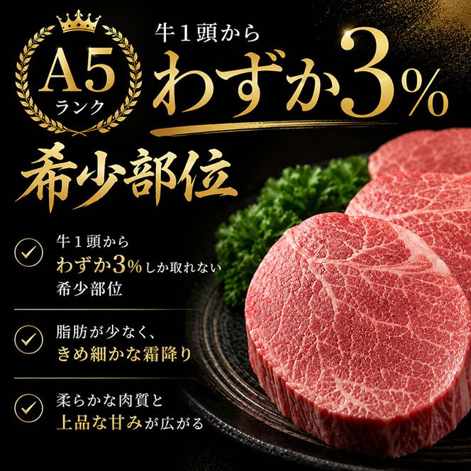 ふるさと納税　飛騨牛 牛肉 ステーキ ヒレ 150g×6枚 計900g A5 和牛 