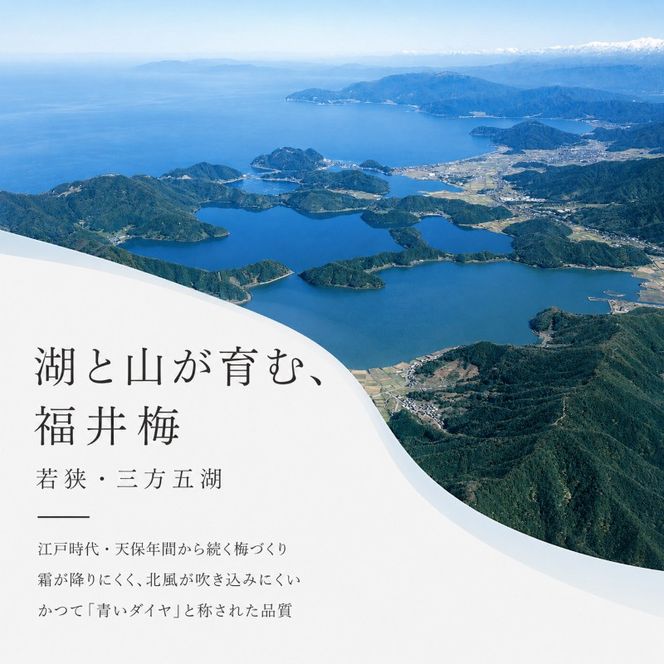 梅風韻（梅ごのみ）うす塩味・しそ漬梅ぼし約800gセット[高島屋選定品］ 梅干し 