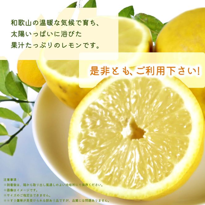 【ご家庭用訳あり】紀州有田産レモン　2.5kg