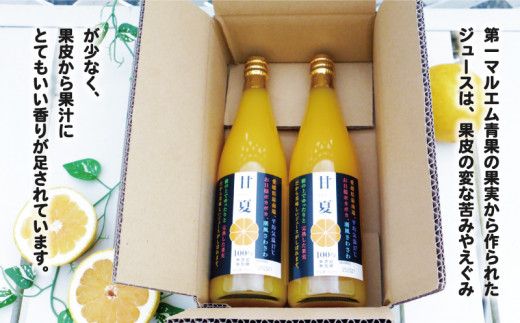 第一マルエムの甘夏ストレートジュース 720ml×2本