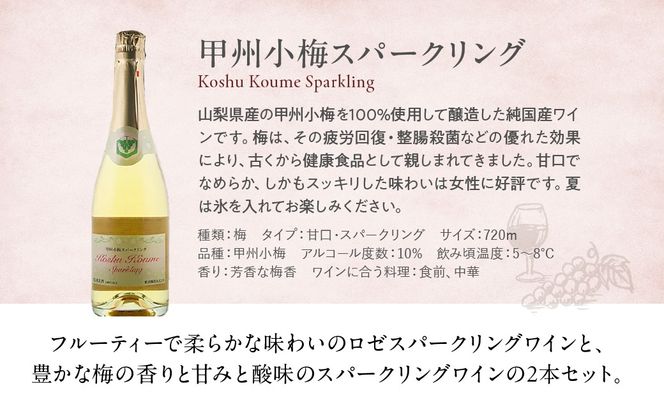 ロゼ・梅スパークリングセット　F-31