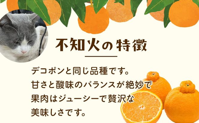 ［先行予約］家庭用 不知火10kg+250g（傷み補償分）［デコポンと同品種・人気の春みかん］［わけあり・訳あり］ CZ147