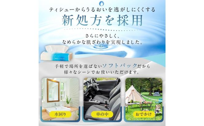 エリエール +Water（プラスウォーター）ソフトパックティシュー　120W5P×2パック【0095-016-1】