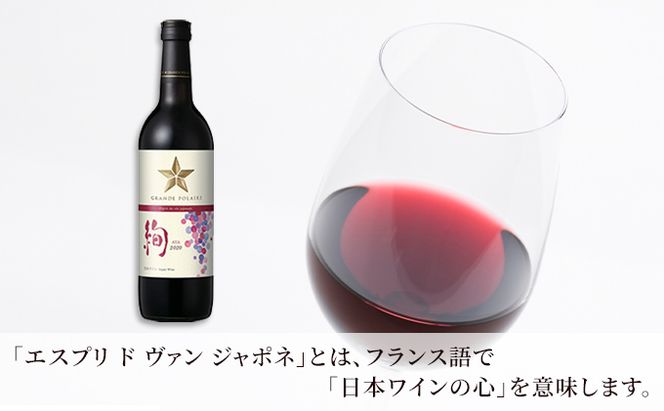 ワイン グランポレール エスプリ・ド・ヴァン・ジャポネ 絢 -AYA- 3本（1本 720ml）赤ワイン ライトボディ サッポロビール 岡山ワイナリー お酒 国産ワイン 果実香 酸味 程よい熟成感 タンニン 