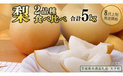 【食べ比べ】 梨 2品種 合計 約5kg 【2026年8月上旬発送開始】 (茨城県共通返礼品：大子町) なし 果物 くだもの フルーツ おまかせ 旬