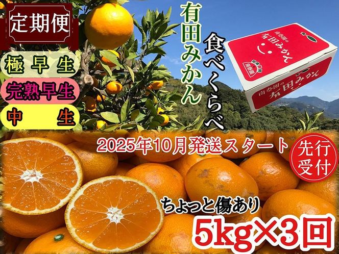 定期便 先行受付 2025年 10月発送スタート 有田みかん 食べくらべ 3種 ちょっと傷あり 5kg × 3回 コース 南泰園 BS816