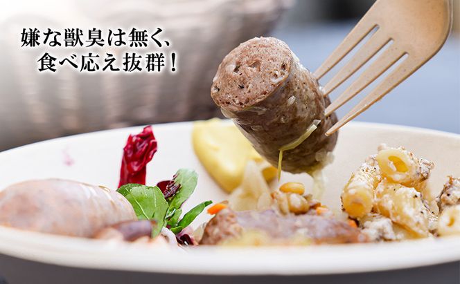 小諸産　鹿肉ソーセージ5種詰め合わせ（プレーン・チョリソー・ブラックペッパー・クルミ・チーズ）