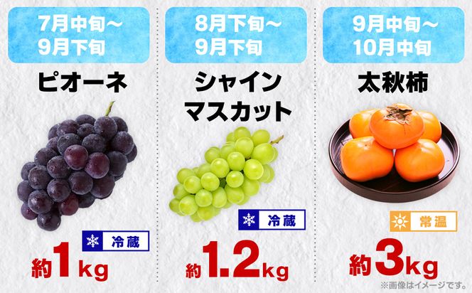 【12回毎月お届け】高松市自慢のフルーツ定期便【L】 372013_T006-776J