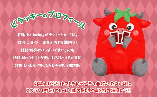 【平取町公式ゆるキャラ】ビラッキートランプ BRTQ001