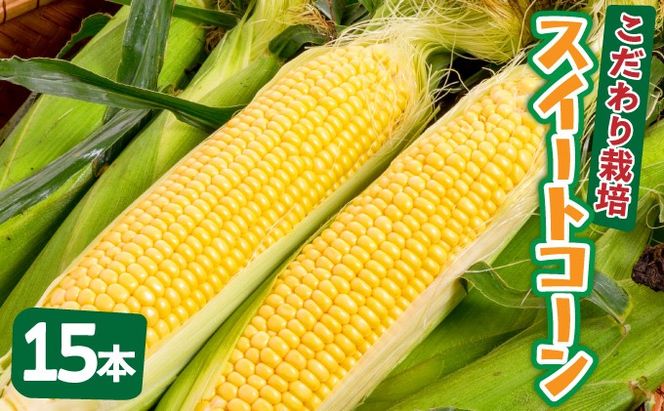 yꌧΊ_szys\2025N12-2026N4z 1Ԓx1ԑIH  ̂v~AXC[gR[t̂܂15{͂II