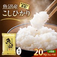 【令和8年産 先行予約】「6カ月定期便」食味鑑定士厳選！魚沼産こしひかり 20kg（5kg×4）×6回 白米 米 コシヒカリ 定期 新潟県 十日町市