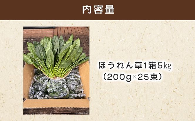 【11月上旬～３月下旬発送】ほうれん草栽培30年以上の山下さんの新鮮採れたて、ほうれん草！ どっさり 5kg     SMCX001