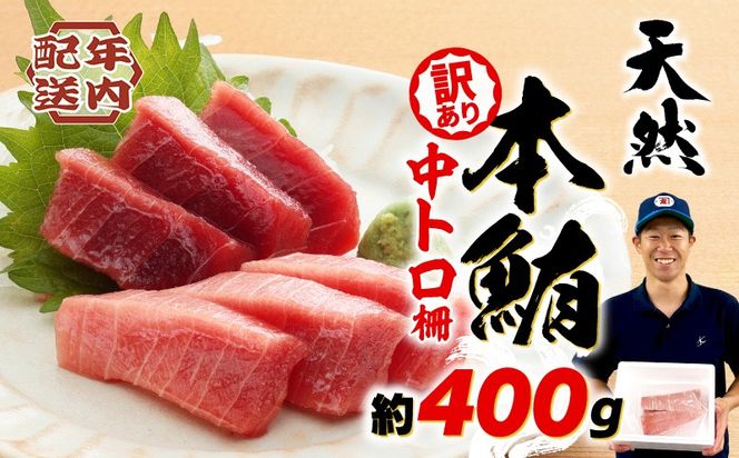 【2025年12月配送】 訳あり まぐろ 天然 本鮪 中とろ 約400g 不定型柵 鮪 まぐろ 冷凍 鮪 漬け マグロ ユッケ 海鮮 本マグロ 本まぐろ 人気 まぐろ おいしい まぐろ 鮪 静岡 藤枝