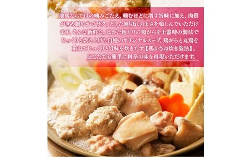 はかた地どり 美人 水炊き 2～3人前 コラーゲン付 セット [MEAT PLUS 福岡県 宇美町 um40azp010033] 鍋 博多 鶏鍋 水炊 地鶏 博多地鶏 はかた地鶏 博多地どり
