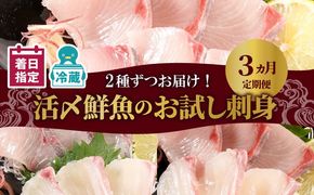 人気のお刺身3ヶ月定期便 少量2種ずつお届け N019-YC911