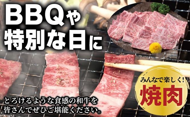 010B1925 A5ランク 国産和牛 肩ロース 焼肉用 オリジナルスパイス  小分け少量パック（300g×1P）