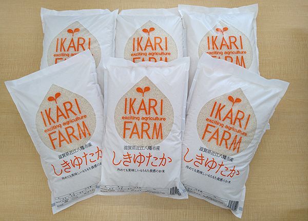 【7年産】すっごいもちもち「しきゆたか」白米定期便　12カ月で5kgを6回お届け（2カ月に1回）【C012W1】