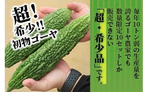 【予約受付】「最優秀賞」受賞の農家！希少品！贈答用「初物ゴーヤ」2024年12月下旬から2025年1月上旬発送【 ふるさと納税 沖縄県石垣市 沖縄 石垣 石垣島 希少 贈答 初物 ゴーヤ 離島のいいもの 沖縄いいもの石垣島 】OI-1