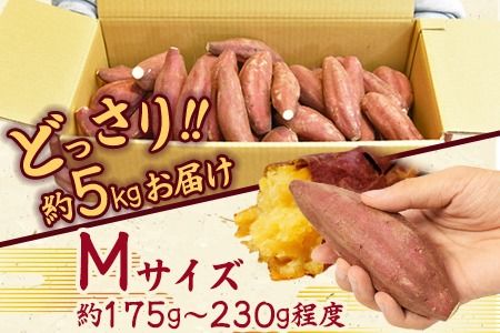 ＜数量限定！ 国富町産 熟成シルクスイート 約5kg＞翌月末迄に順次出荷【a0610_mf】