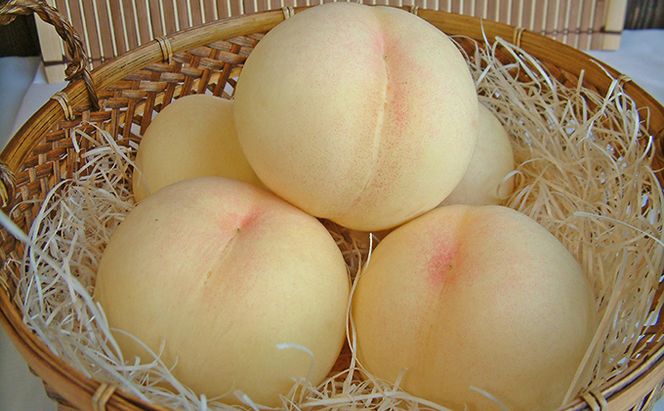 桃 2026年 先行予約 清水 白桃 約3.0kg 10～12玉 もも 岡山県 赤磐市産 フルーツ 果物 あかいわファーマーズガーデン 果物類