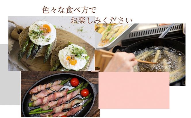 ［武田農園とれたて直送］2027年春～発送 グリーンアスパラ 2L 1kg やわらかくて抜群にあまい！北海道 富良野産 (アスパラガス アスパラ 野菜 新鮮 産地直送 先行予約 限定)