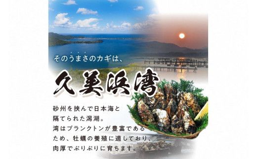 京都・久美浜産　殻付き牡蠣　3kg（30個前後）【加熱用】牡蠣ナイフ付　MN00065