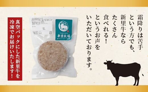 石垣島産 黒毛和牛 新里牛 職人手ごね生ハンバーグ (150g×6) 合計900g SZ-7