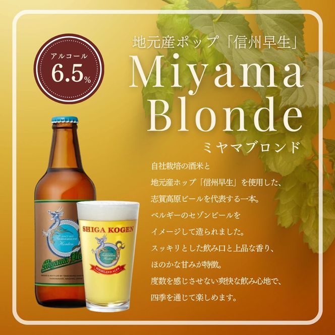 定期便 3ヶ月 志賀高原ビール6本セット 【 クラフトビール 志賀高原ビール 飲み比べセット 玉村本店 ビール 詰め合わせ セット 地ビール 飲み比べ 黒ビール ipa ペールエール 酒 お酒 長野県 長野 定期 お楽しみ 3回 】 