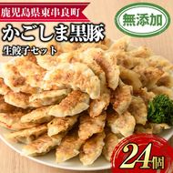 【0095119a】鹿児島黒豚生餃子セット(12個入×2パック・計24個)黒豚 豚肉 ぶた肉 餃子 ギョウザ ぎょうざ 惣菜【鹿児島ますや】