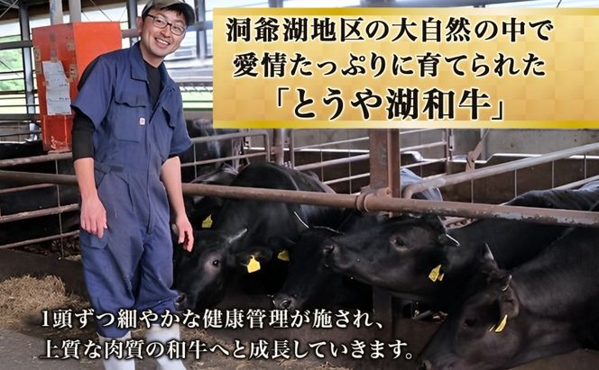 北海道 とうや湖和牛 肩バラ 焼き肉用 300g 黒毛和種 黒毛和牛 霜降り カルビ 和牛 国産牛 A4ランク 幻の和牛 ブランド牛 牛肉 肉 牛 甘い 焼肉 BBQ とうや湖農業協同組合 送料無料 