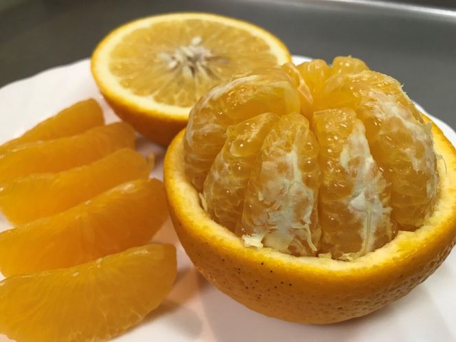 ちょっと 傷あり 4月 まで 木成 完熟 させた 有田 はっさく 大玉 3L × 6玉 または 2L × 7玉 化粧箱 南泰園 みかん 	BS761