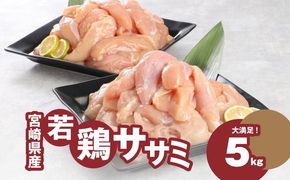 宮崎県産若鶏ささみ　1kg×5パック　 K16_0045_2