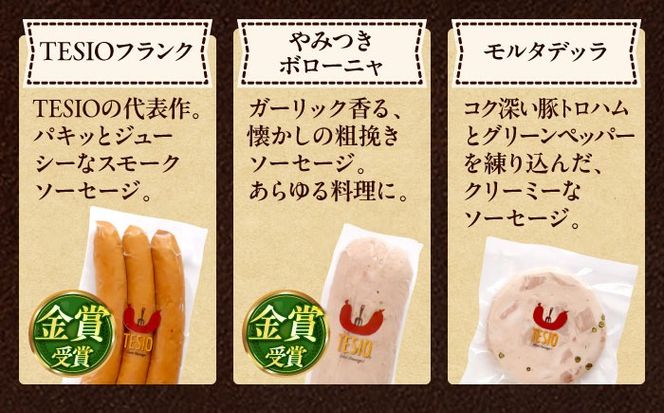 TESIOの自家製ハム＆ソーセージ 『手始めTESIOセット』 豚肉 ハム ソーセージ 小分け 真空パック 沖縄市 / TESIO[BCAD001]