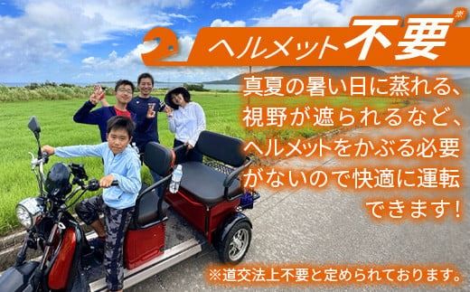 電動三輪バギーで行くレンタル2時間(3人乗り)【 沖縄 石垣島 レンタル バイク バギー トライク 車 】RO-2